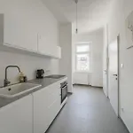 Spacious Studio In Vienna