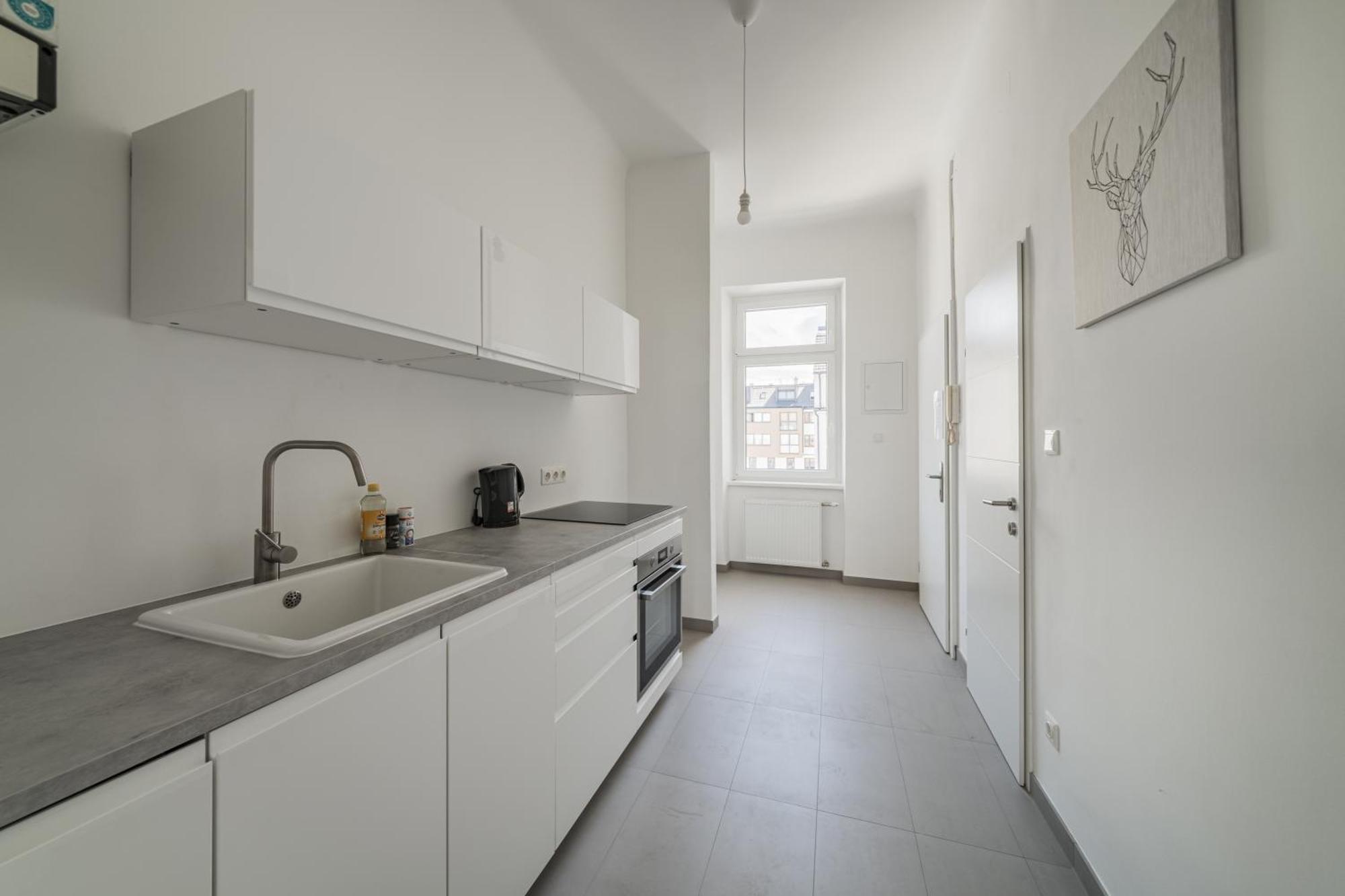 Spacious In Apartment Vienna